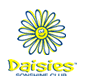 Daisies